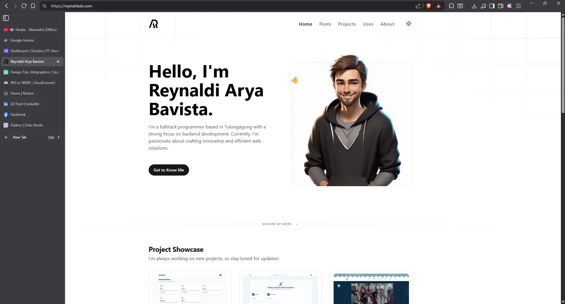 My Brave Browser Setup